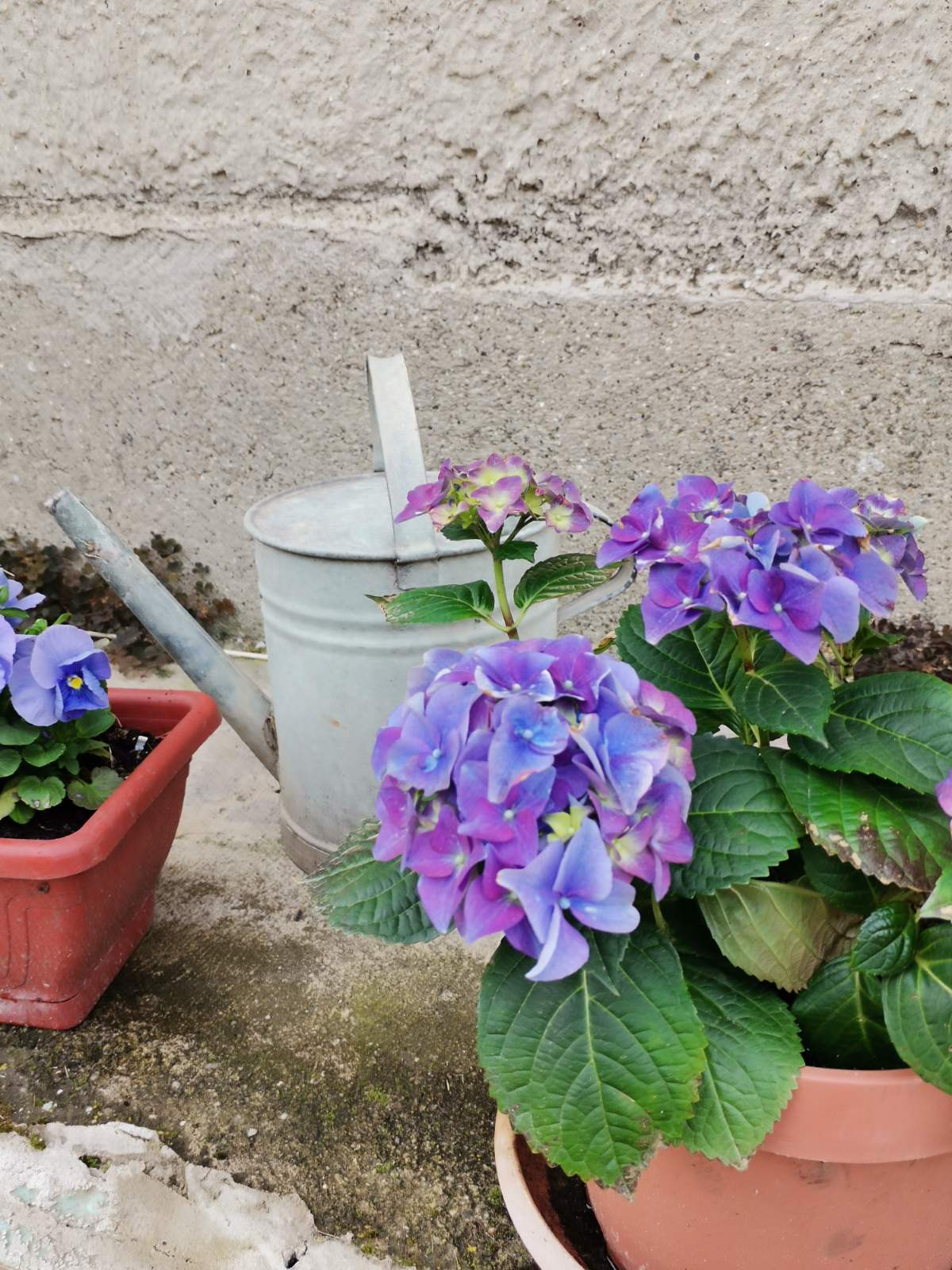 Fecske Vendégház Extra 1