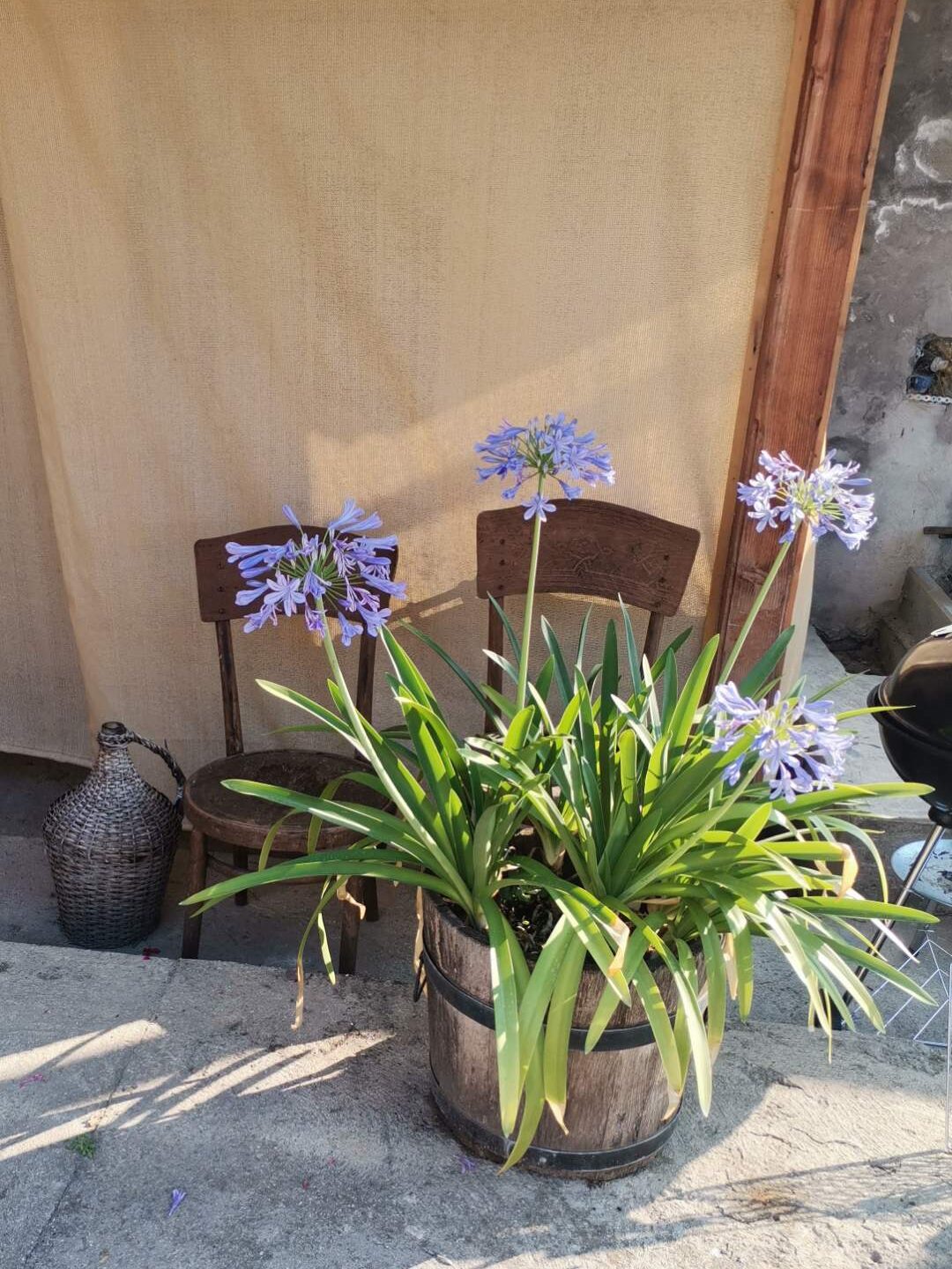 Fecske Vendégház Extra 5