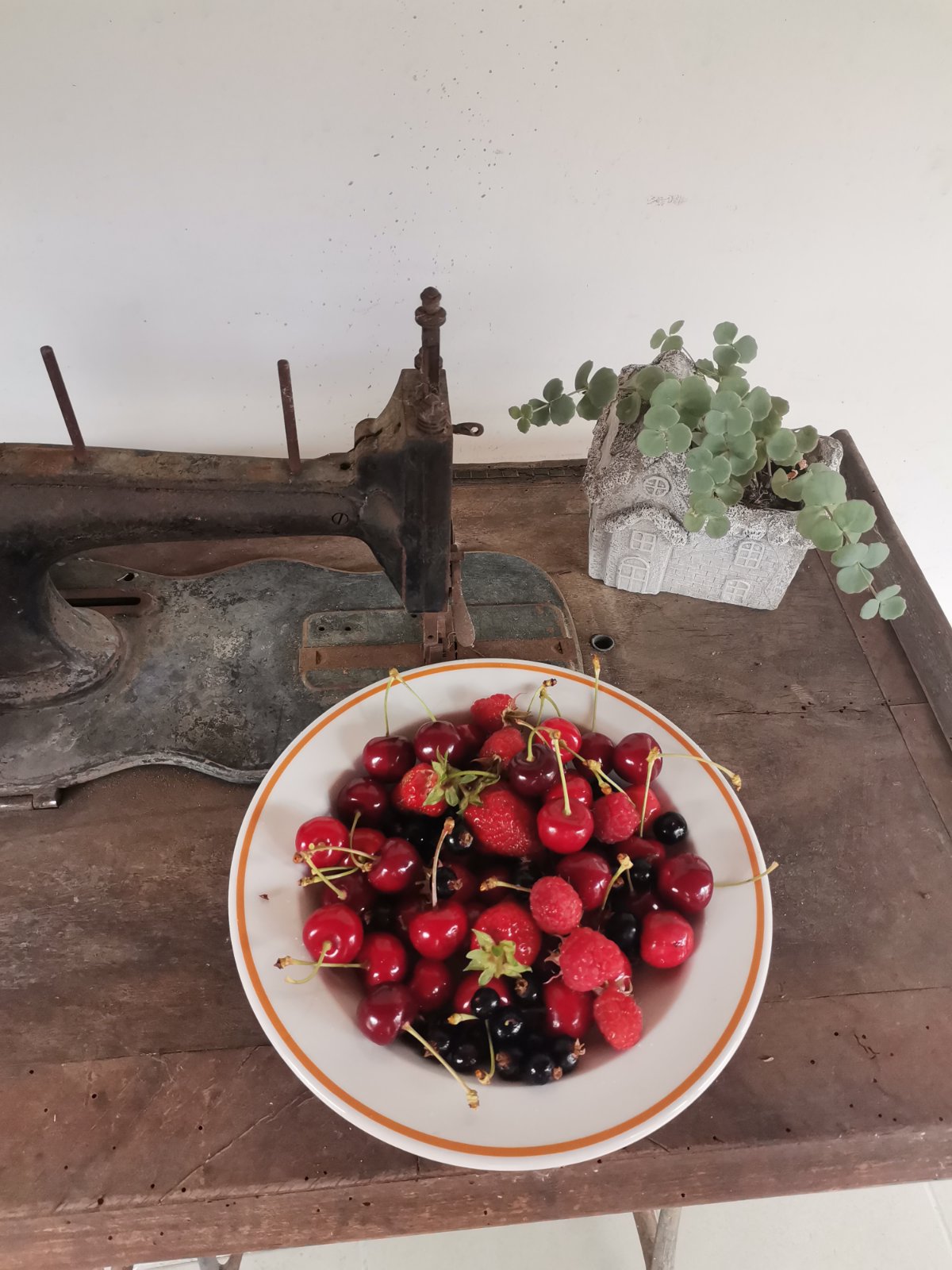 Fecske Vendégház Extra 7