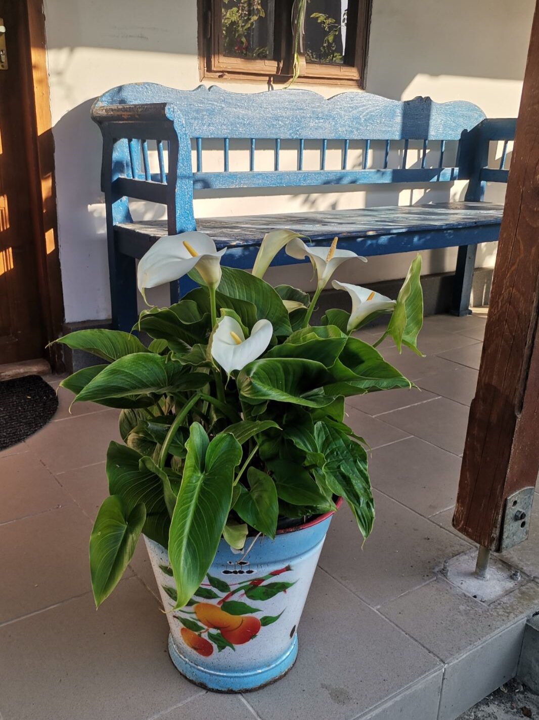 Fecske Vendégház Extra 8